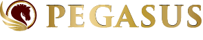 PEGASUS宮古島